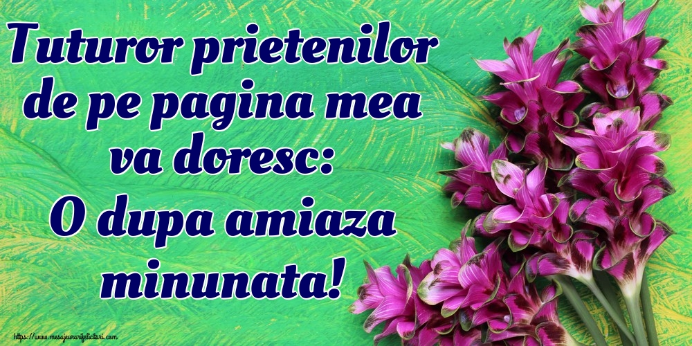 Tuturor prietenilor de pe pagina mea va doresc: O dupa amiaza minunata!