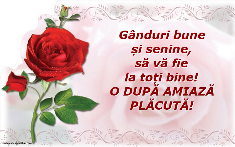 O după amiază plăcută!