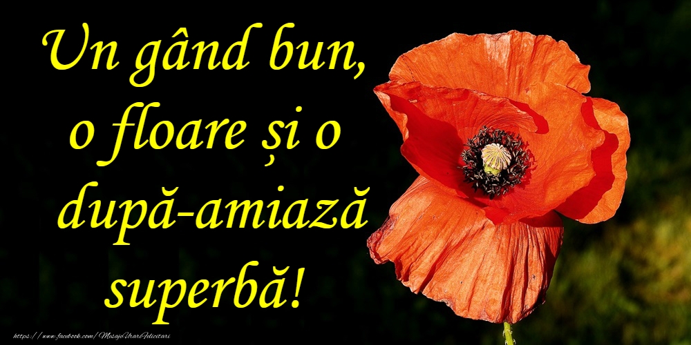 O după-amiază plăcută!