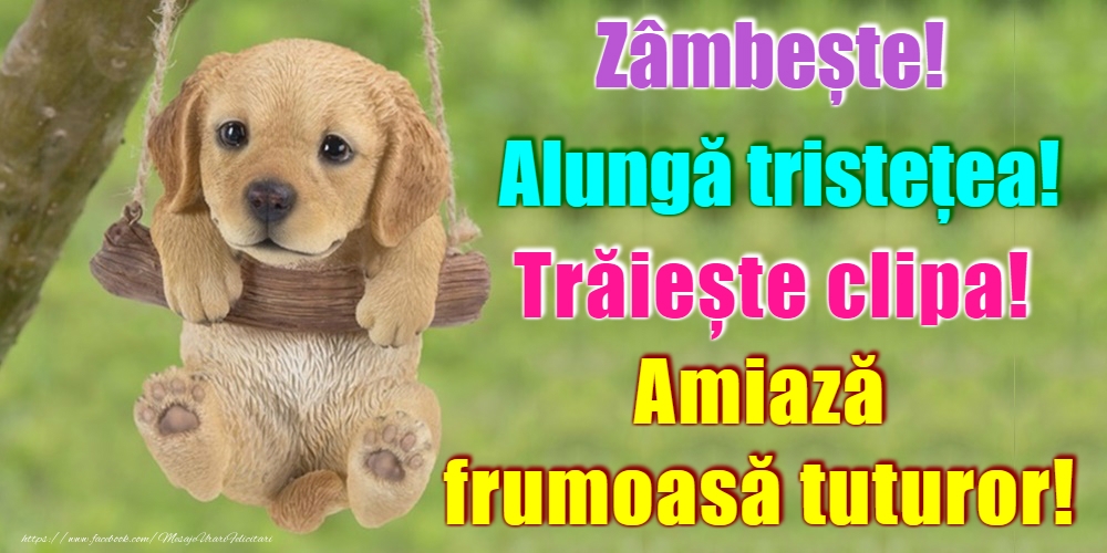 Felicitari de Amiaza - O după-amiază plăcută! - mesajeurarifelicitari.com