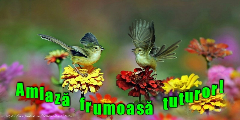 O după-amiază plăcută!