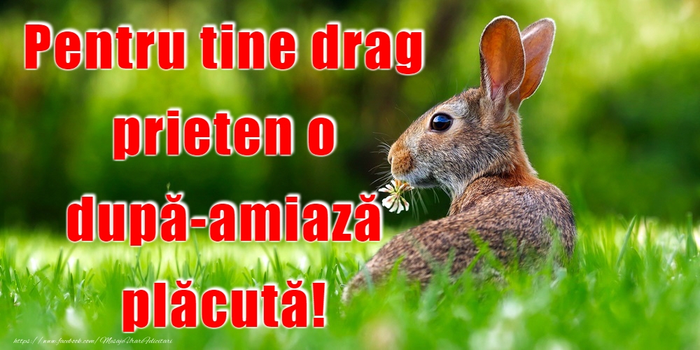 Felicitari de Amiaza - O după-amiază plăcută! - mesajeurarifelicitari.com