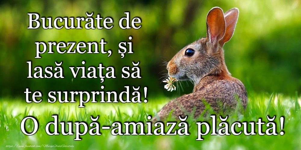 O după-amiază plăcută!