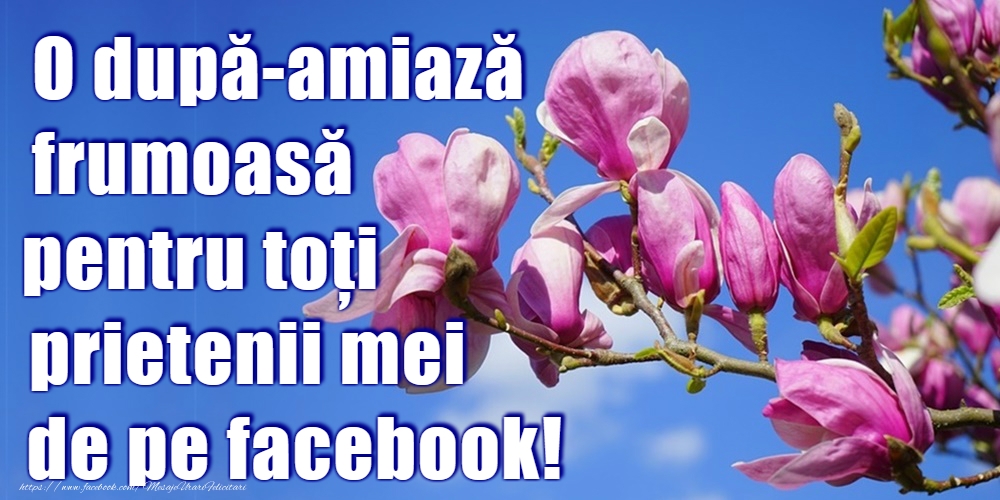 O după-amiază plăcută!