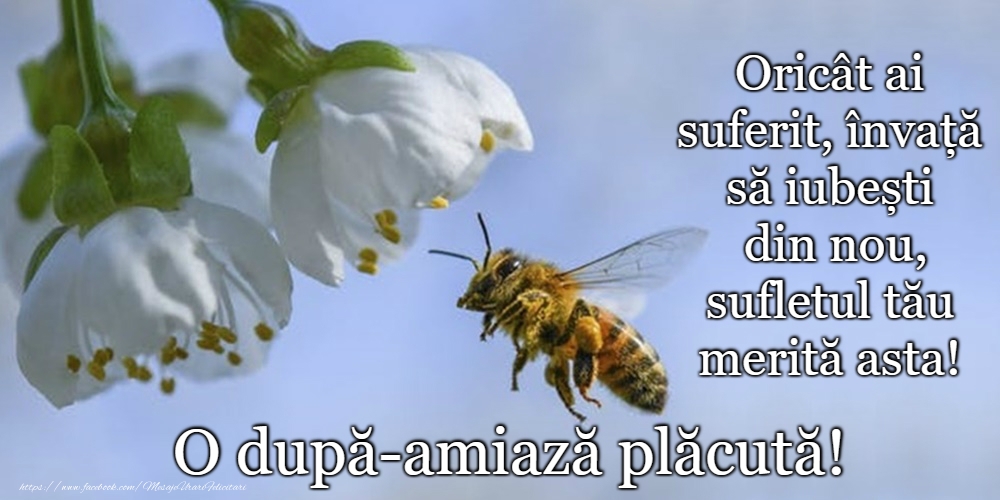 O după-amiază plăcută!