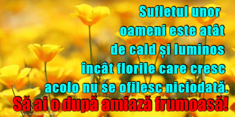 O după-amiază plăcută!