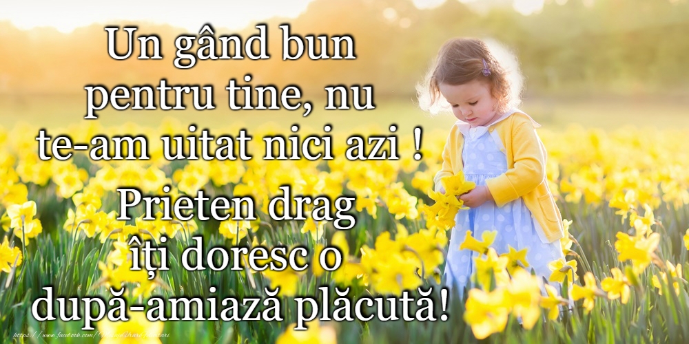 O după-amiază plăcută!