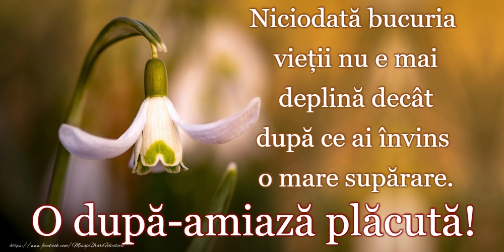 O după-amiază plăcută!