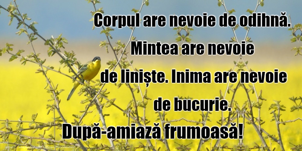 O după-amiază plăcută!