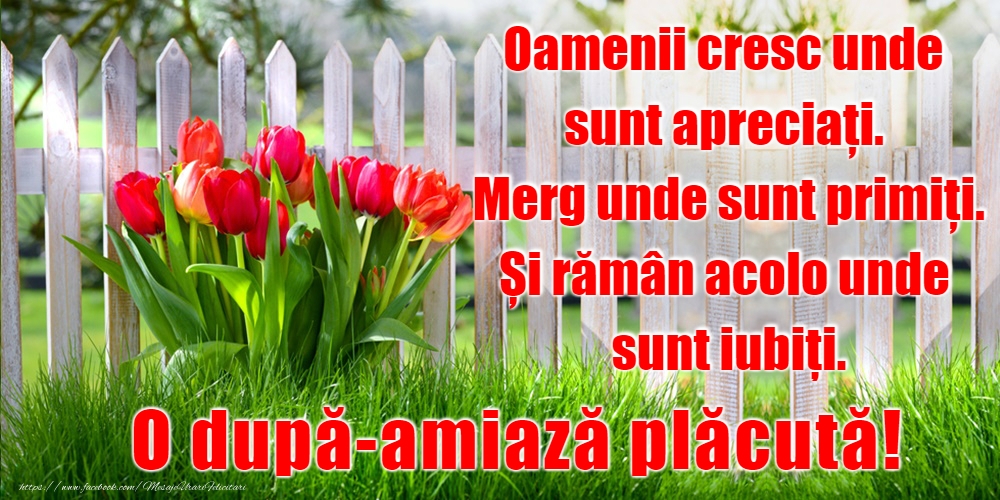 Felicitari de Amiaza - O după-amiază plăcută! - mesajeurarifelicitari.com