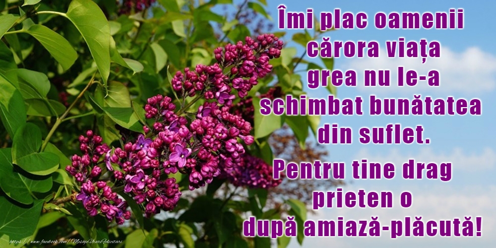 O după-amiază plăcută!