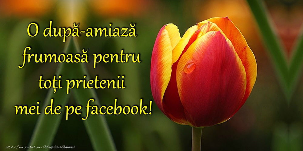 O după-amiază plăcută!