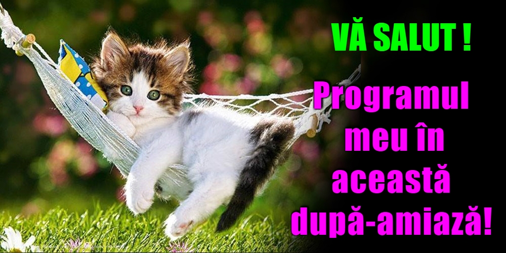 O după-amiază plăcută!