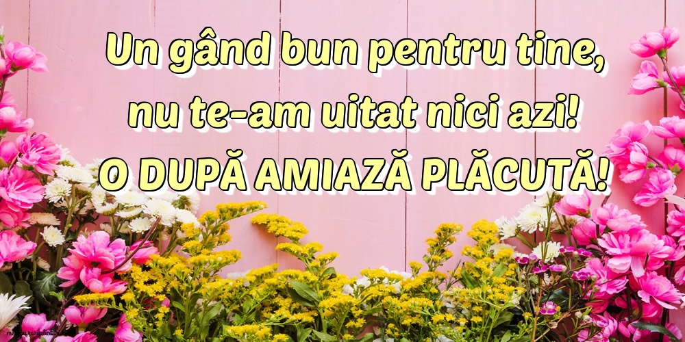 O după amiază plăcută!