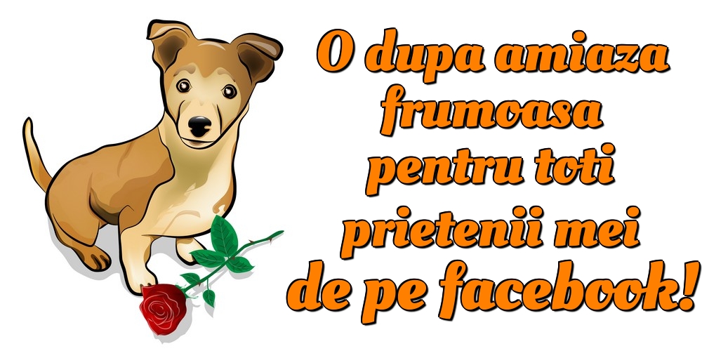 O dupa amiaza frumoasa pentru toti prietenii mei de pe facebook!