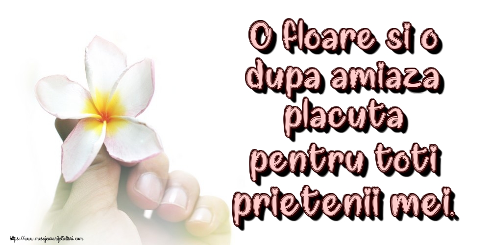 O floare si o dupa amiaza placuta pentru toti prietenii mei.