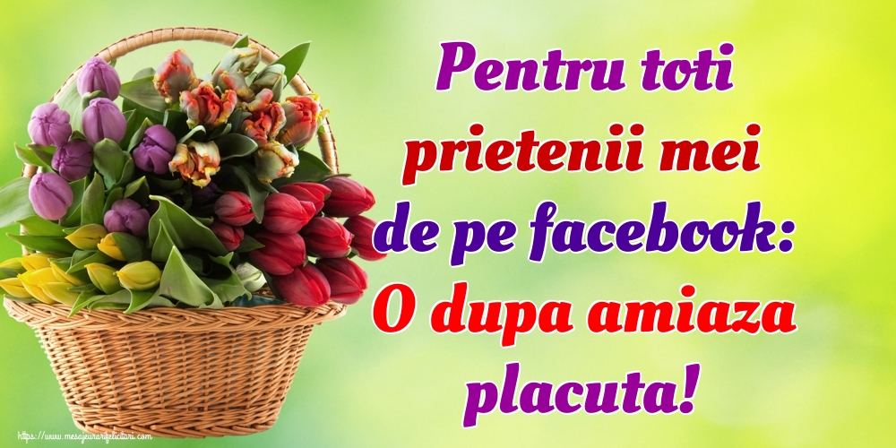 Pentru toti prietenii mei de pe facebook: O dupa amiaza placuta!