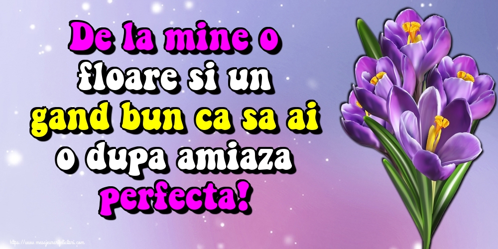 De la mine o floare si un gand bun ca sa ai o dupa amiaza perfecta!