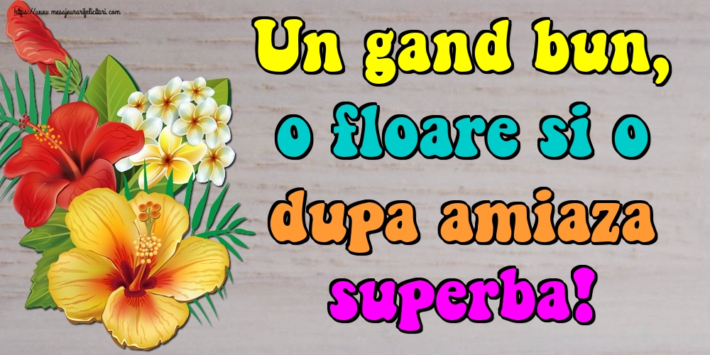 Un gand bun, o floare si o dupa amiaza superba!