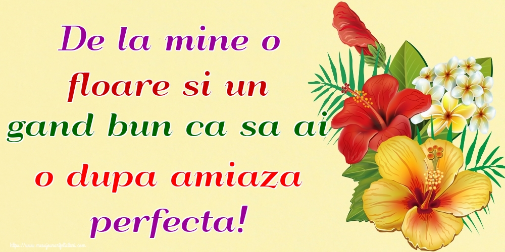 De la mine o floare si un gand bun ca sa ai o dupa amiaza perfecta!