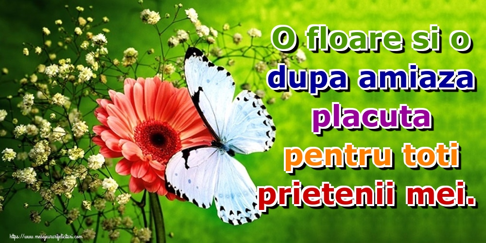 Amiaza O floare si o dupa amiaza placuta pentru toti prietenii mei.