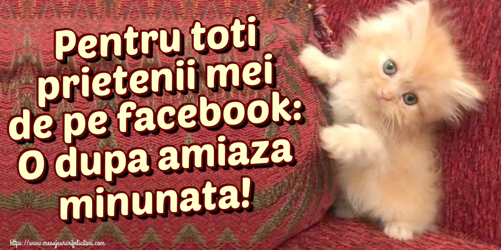 Pentru toti prietenii mei de pe facebook: O dupa amiaza minunata!