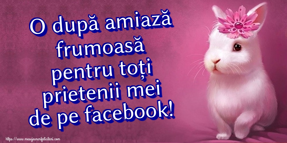 O după amiază frumoasă pentru toți prietenii mei de pe facebook!