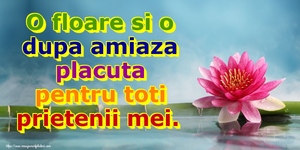 O floare si o dupa amiaza placuta pentru toti prietenii mei.