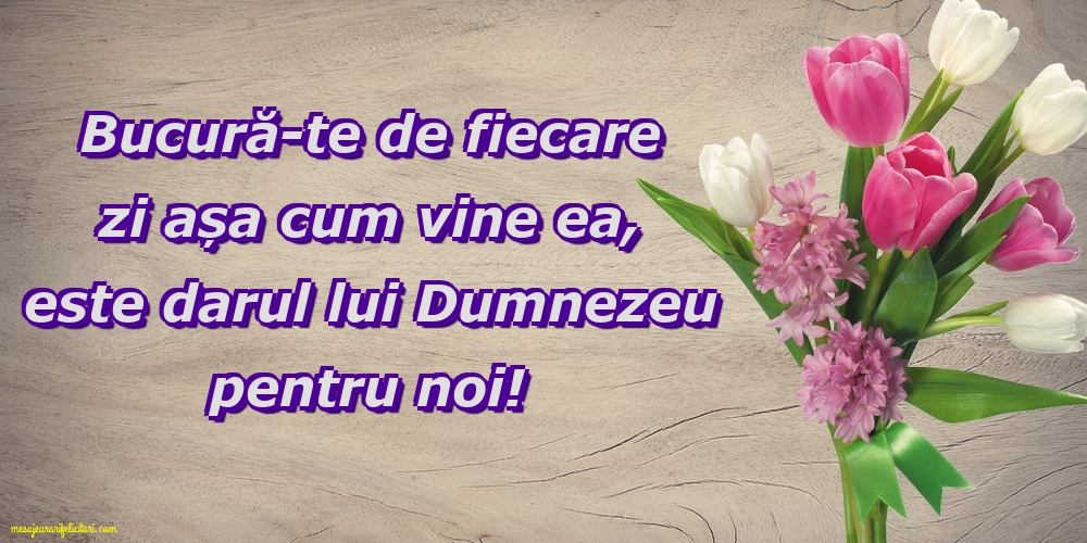 Bucură-te de fiecare zi așa cum vine ea