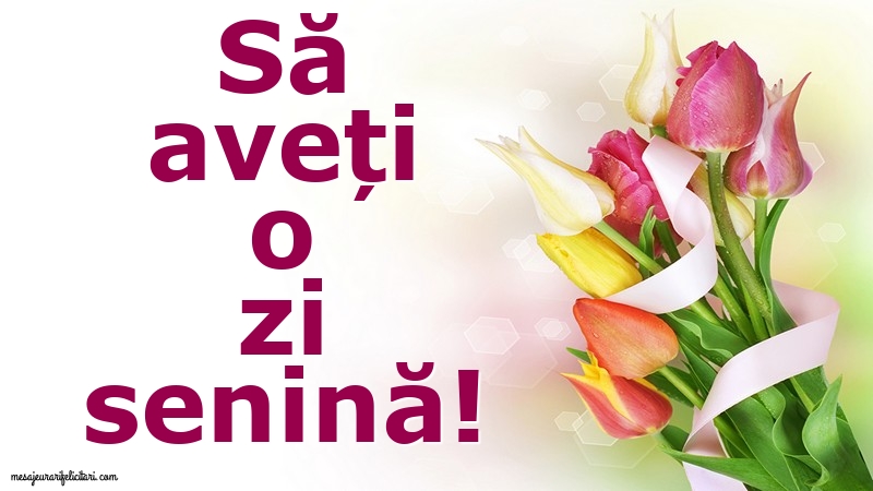 Să aveți o zi senină