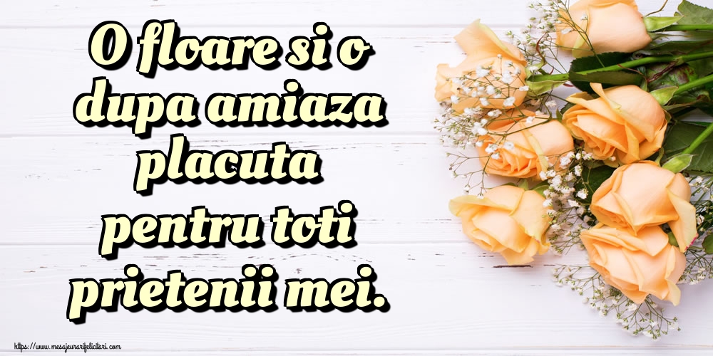 O floare si o dupa amiaza placuta pentru toti prietenii mei.