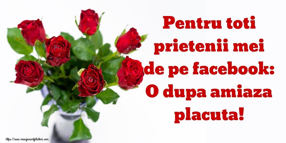 Pentru toti prietenii mei de pe facebook: O dupa amiaza placuta!