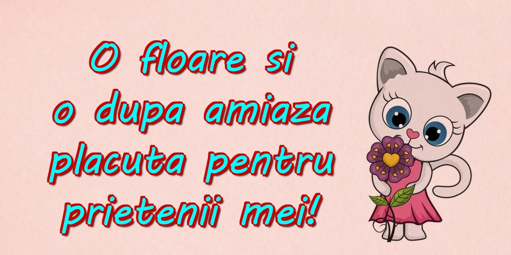 O floare si o dupa amiaza placuta pentru prietenii mei!