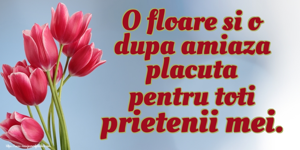 O floare si o dupa amiaza placuta pentru toti prietenii mei.