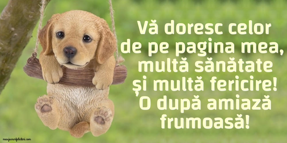 O după amiază frumoasă!