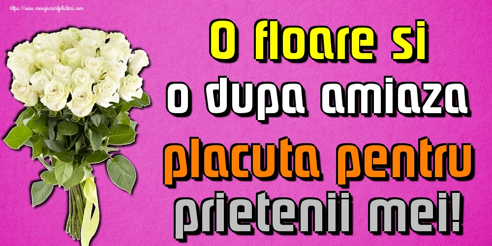 O floare si o dupa amiaza placuta pentru prietenii mei!