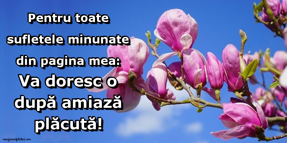 Pentru toate sufletele minunate din pagina mea