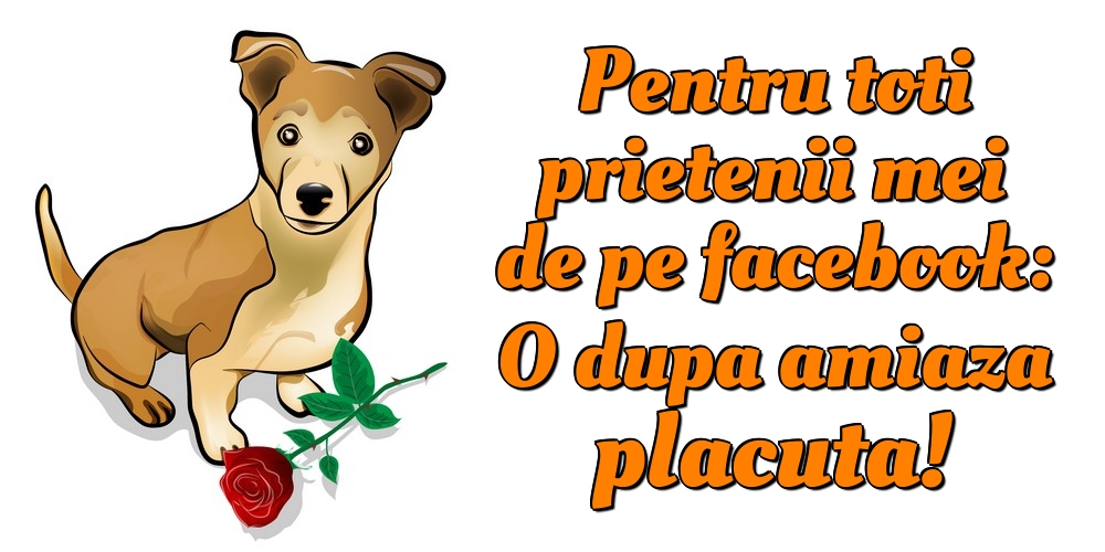 Pentru toti prietenii mei de pe facebook: O dupa amiaza placuta!