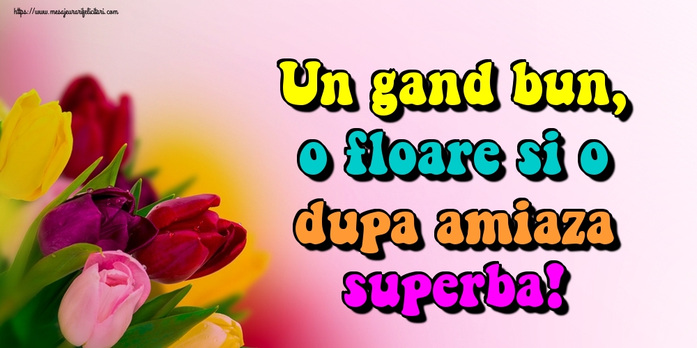 Un gand bun, o floare si o dupa amiaza superba!
