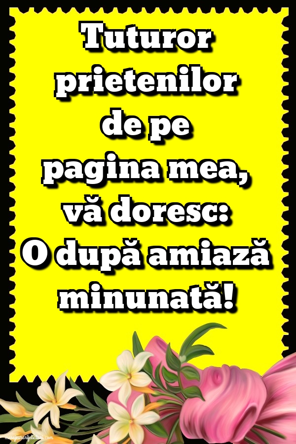Vă doresc: O după amiază minunată!