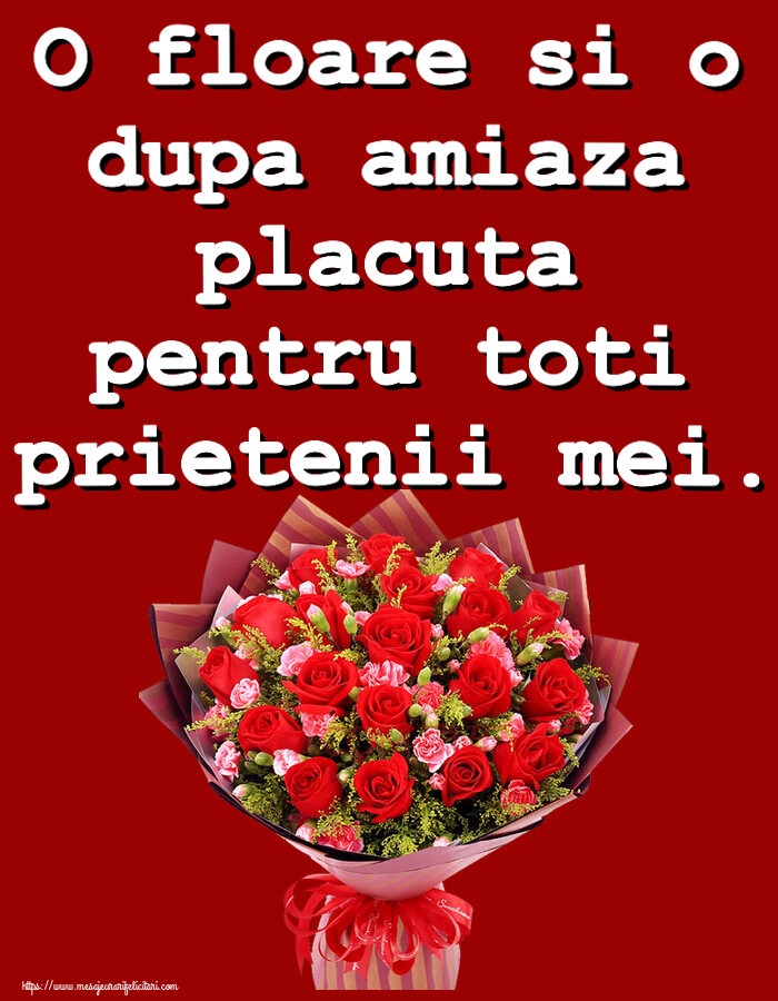 Amiaza O floare si o dupa amiaza placuta pentru toti prietenii mei. ~ trandafiri roșii și garoafe