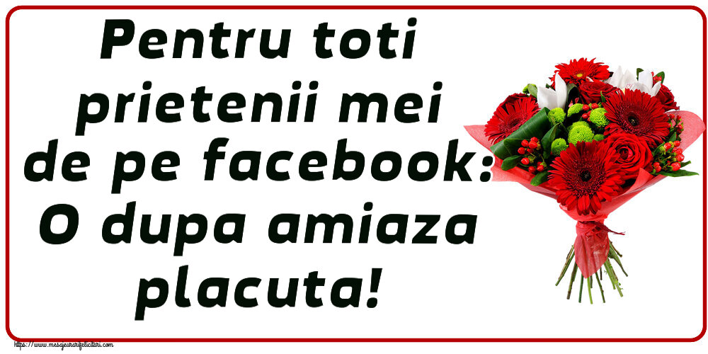 Amiaza Pentru toti prietenii mei de pe facebook: O dupa amiaza placuta! ~ buchet cu gerbere