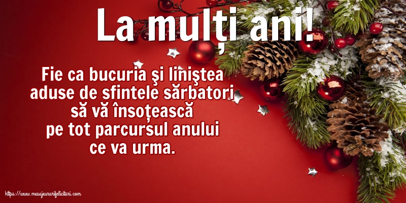 Anul Nou La mulți ani!