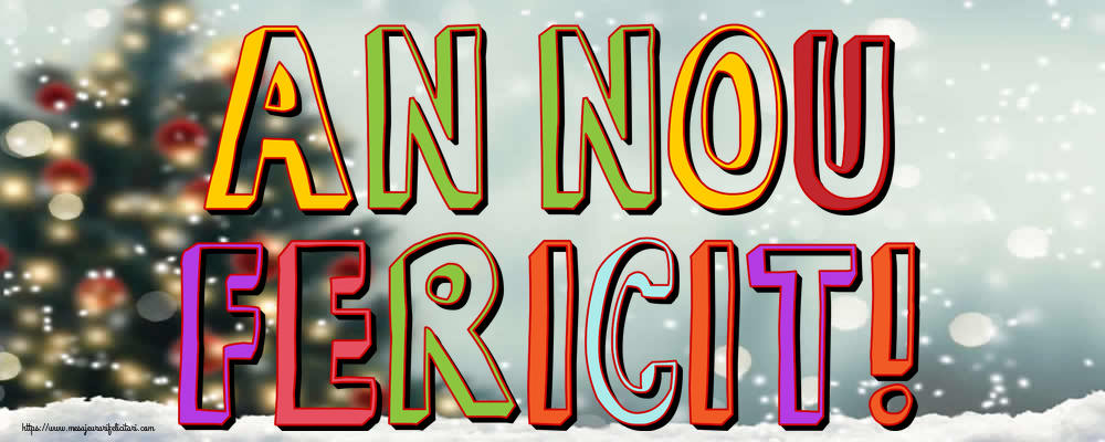 An Nou Fericit!