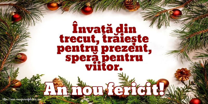 An nou fericit!