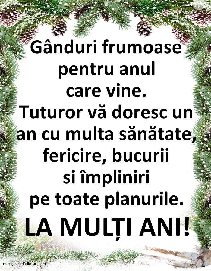Anul Nou La mulți ani!