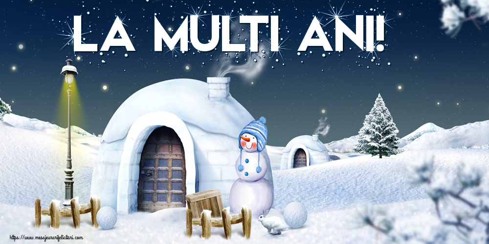 Anul Nou La multi ani!