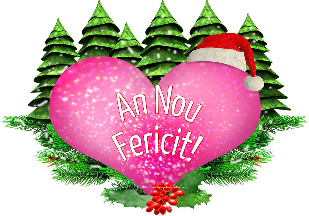 An Nou Fericit!