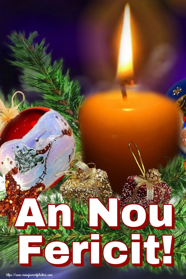 An Nou Fericit!
