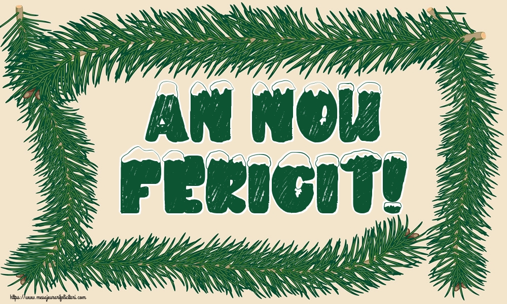 An Nou Fericit!